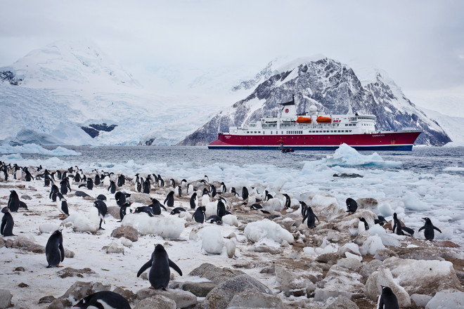 best month to travel to antarctica